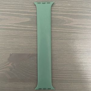 Apple Watch Band 41mm Eucalyptus Solo Loop size 4
